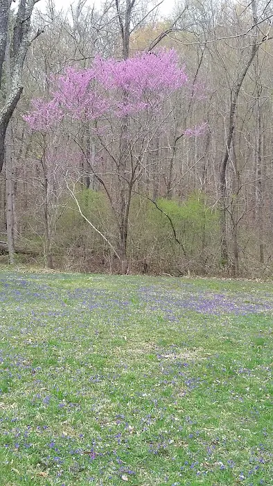 Scioto Trail State Park Walk-In Camping Area Picture 4