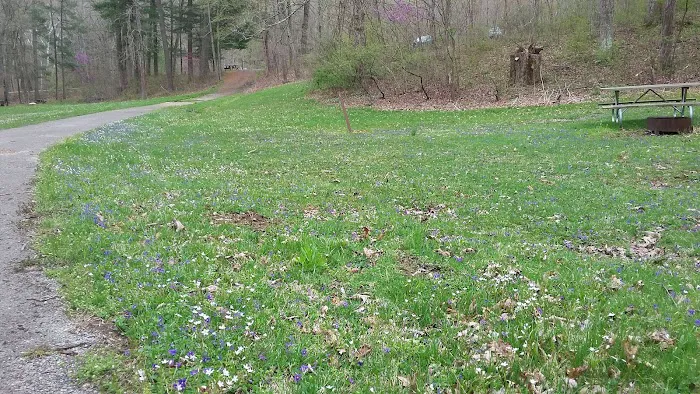 Scioto Trail State Park Walk-In Camping Area Picture 8