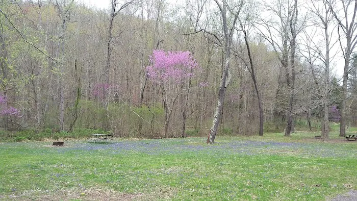 Scioto Trail State Park Walk-In Camping Area Picture 6
