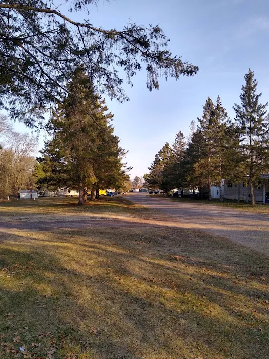 Canoe Villa Mobile Home Court Picture 3
