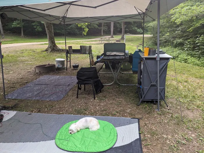 Scioto Trail State Park Campground Picture 9