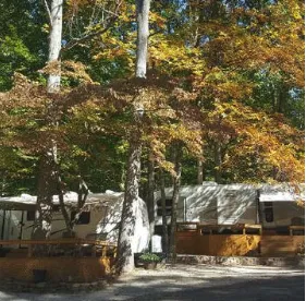 Walnut Creek Campground & Resort Picture 5