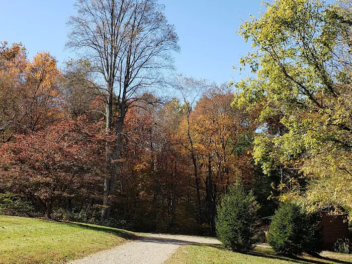 Walnut Creek Campground & Resort Picture 4