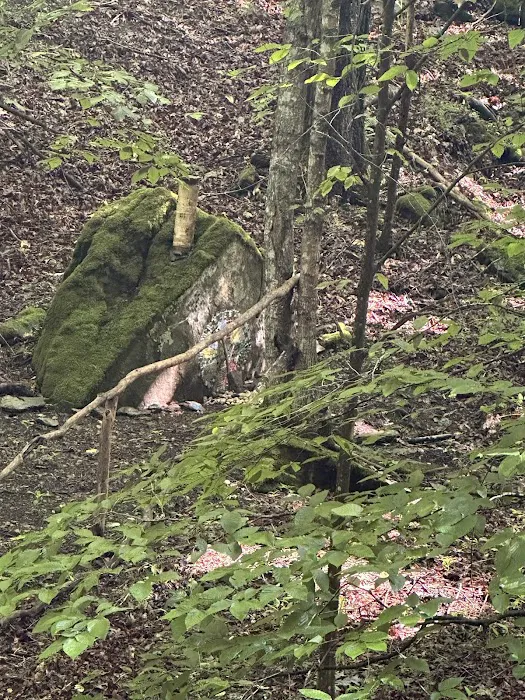 Bear Cave Camp Picture 7
