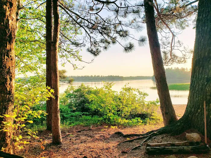 Sabao Lake Campground Picture 4