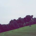 Rambush Estates