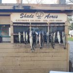 Shade Acres