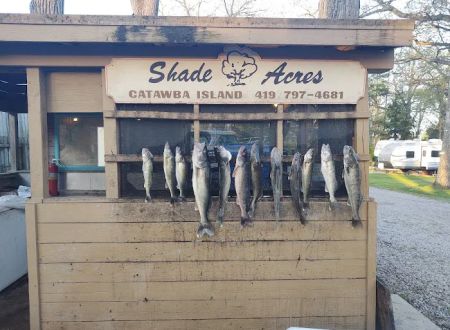 Shade Acres