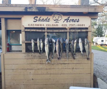 Shade Acres