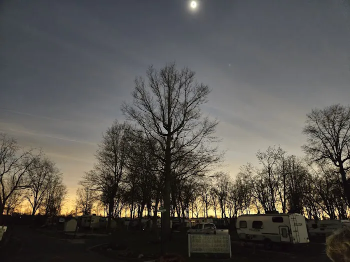 Tall Timbers Campground & Resort Picture 3