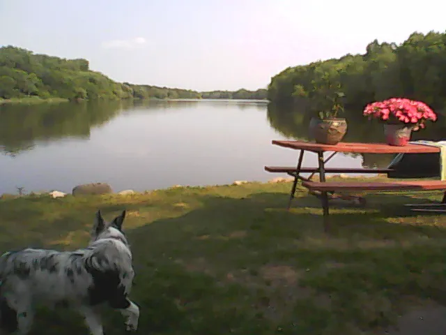 Rv spot Picture 7