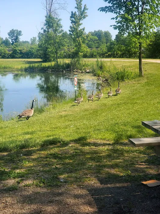 Goldeneye Campgrounds Picture 1