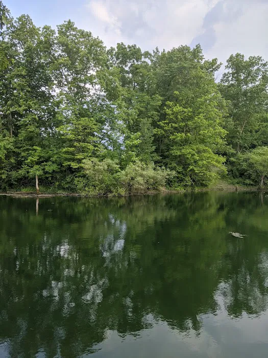Leafy Oaks Campground Inc Picture 10