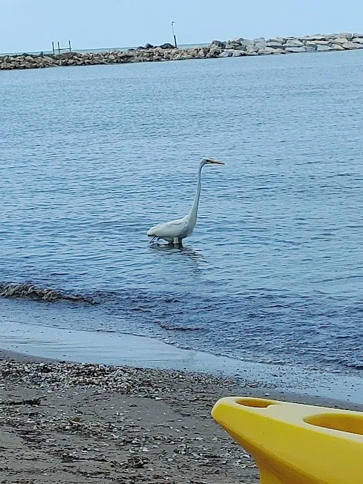 Sunset Shore Campground Picture 8