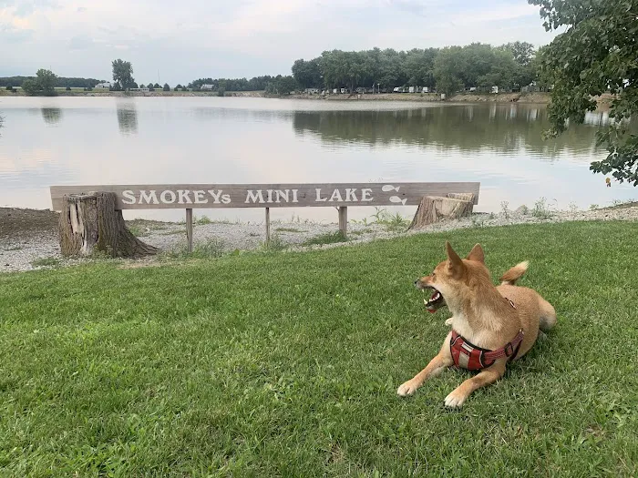 Smokey's Mini Lake Campground Picture 8