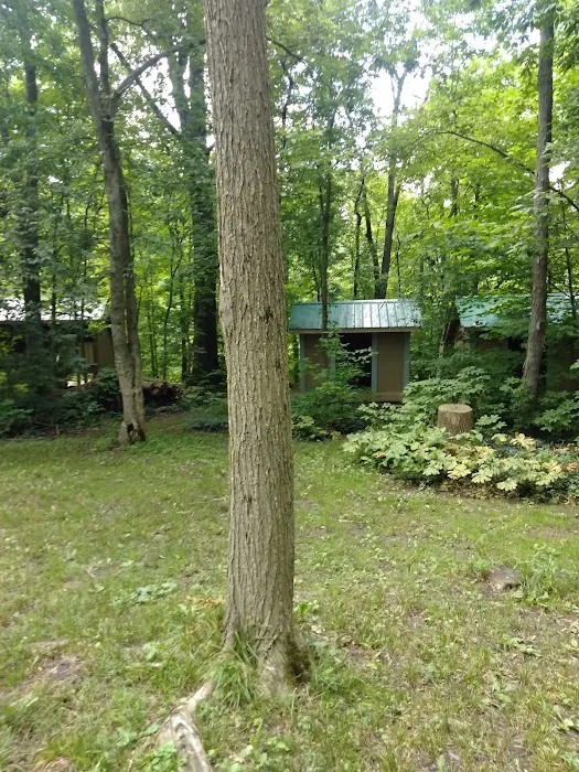 Tymochtee Creek Youth Camp Picture 3