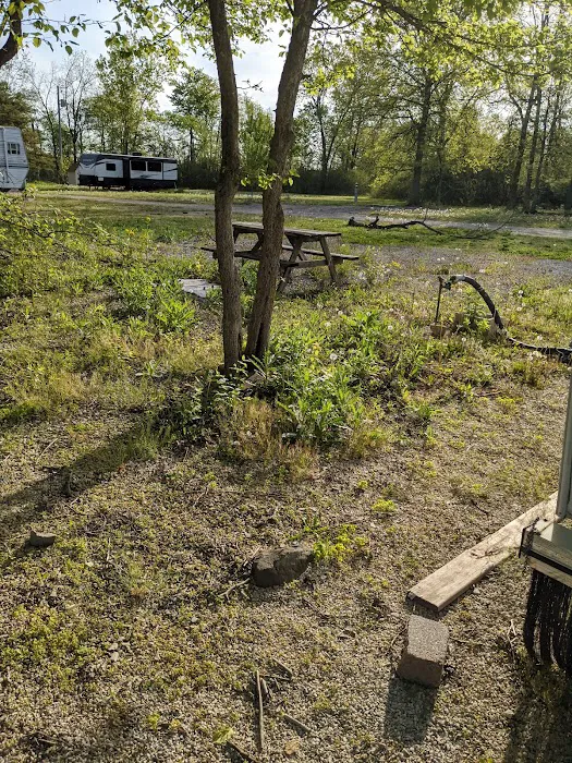 Wooded Acre Campground Picture 6