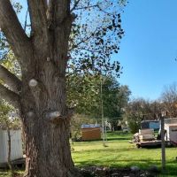 Anderson Mobile Home Park ico