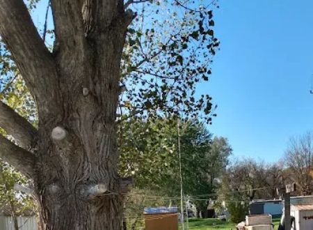 Anderson Mobile Home Park