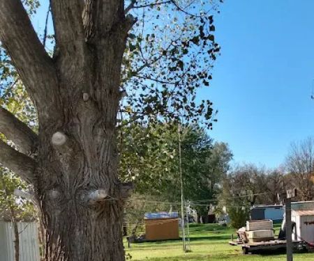 Anderson Mobile Home Park