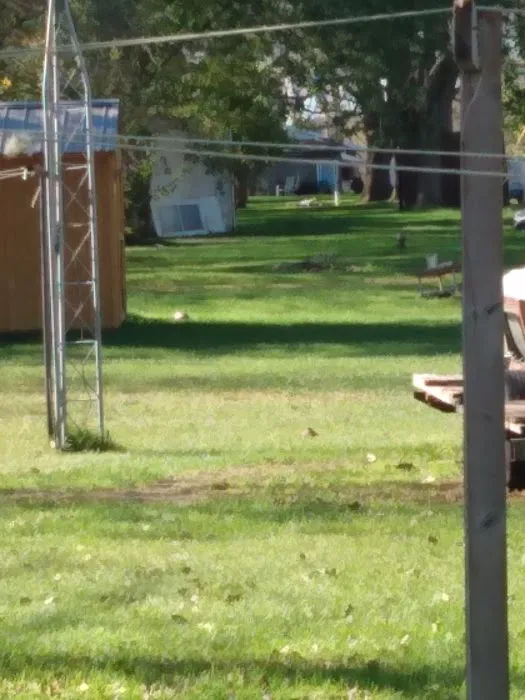 Anderson Mobile Home Park Picture 3