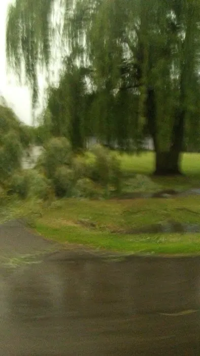 Eastview Mobile Home Park Picture 6