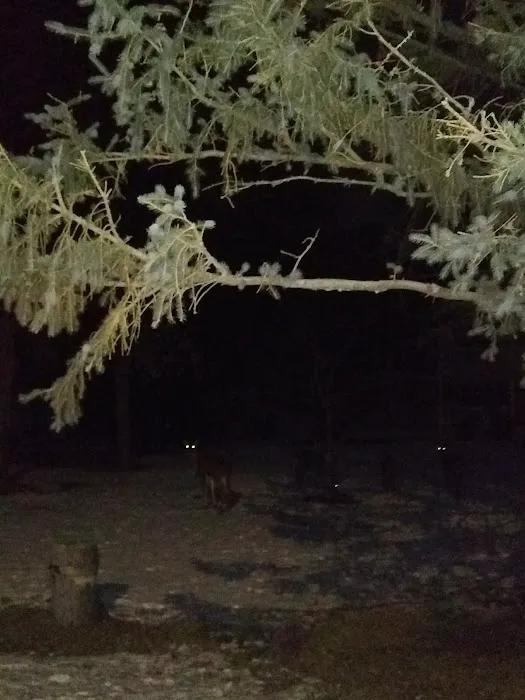 Eastview Mobile Home Park Picture 5