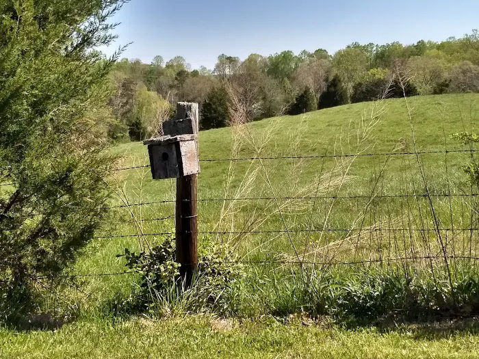 Holly Ridge Family Camp Ground Picture 10