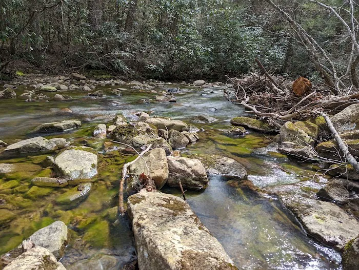 Raccoon Branch Campground Picture 9