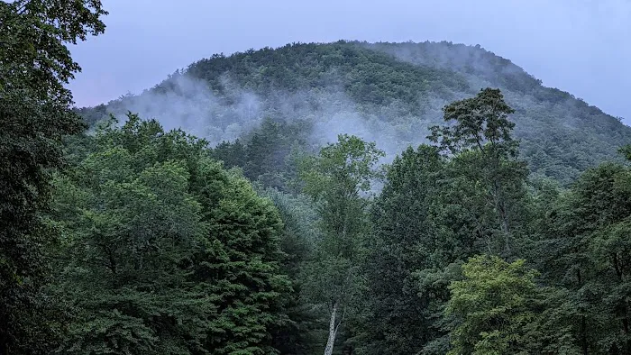 Raccoon Branch Campground Picture 6