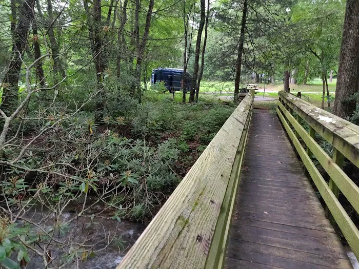 Raccoon Branch Campground Picture 8