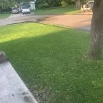 Pleasant Terrace