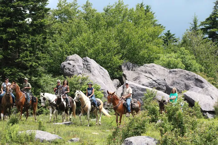 Rocky Hollow Horse Camp Picture 9