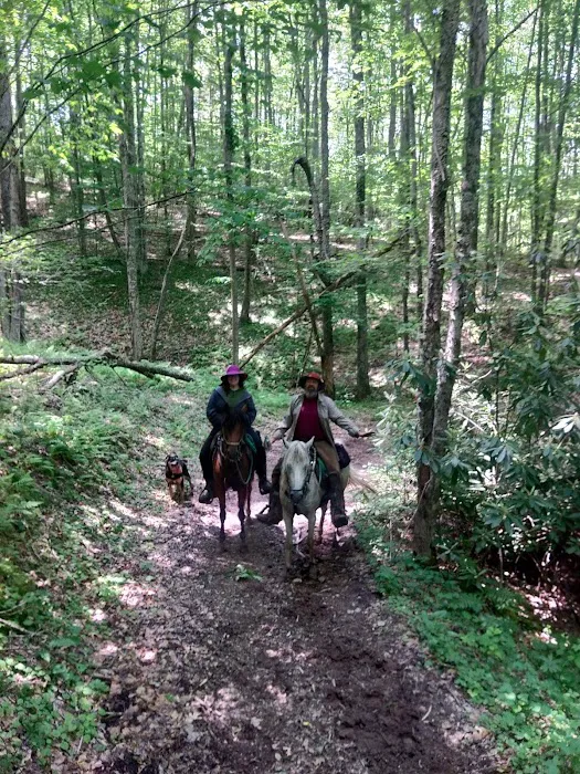 Rocky Hollow Horse Camp Picture 8