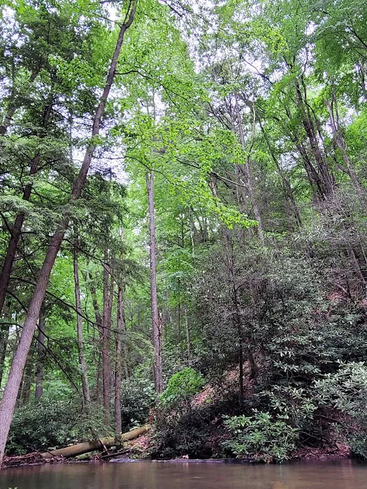 Hurricane Campground Picture 10