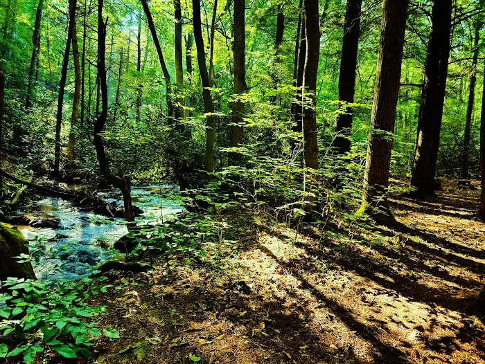 Hurricane Campground Picture 7