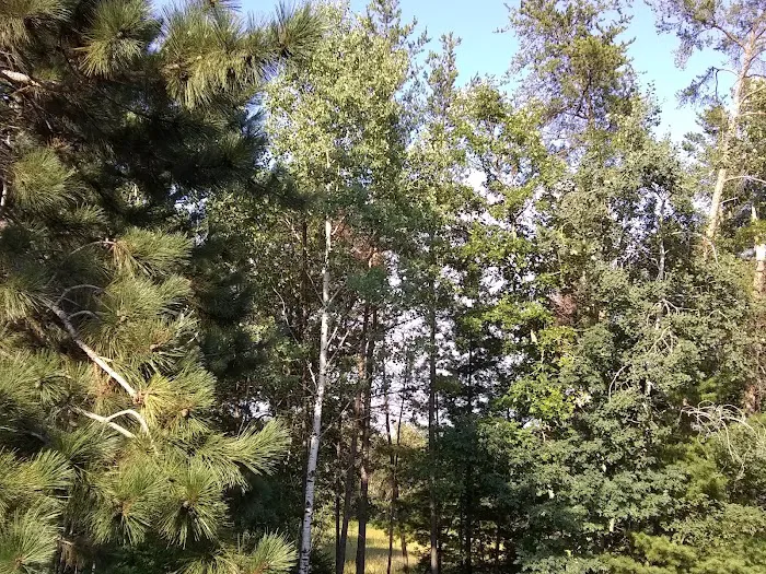 Village East Mobile Home Park Picture 6