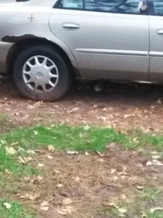 Village East Mobile Home Park Picture 1