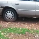 Village East Mobile Home Park