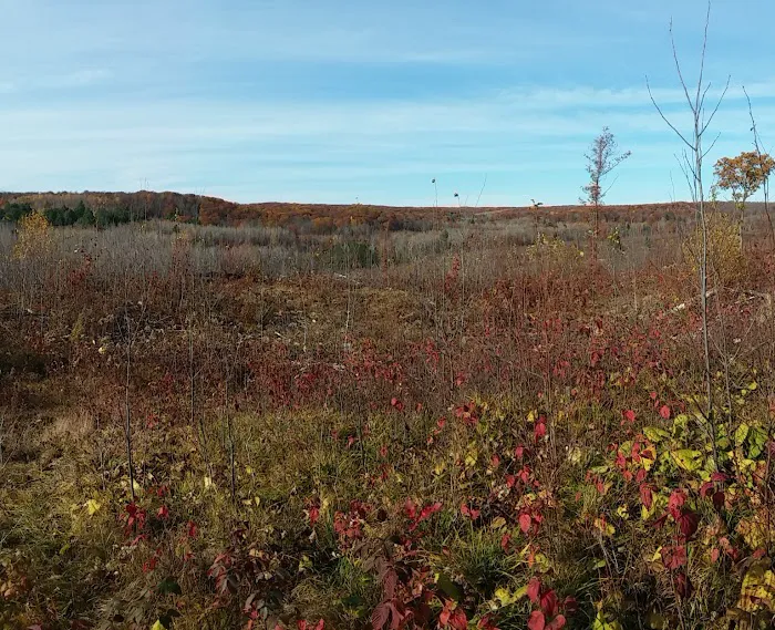 Featherstone RV Park Picture 8