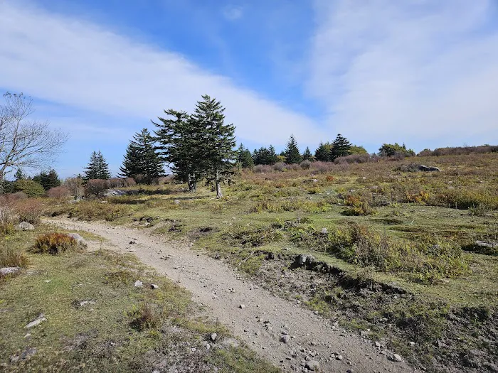 Fox Creek Horse Camp Picture 2