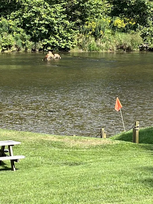 River Country Campground & RV Park Picture 7