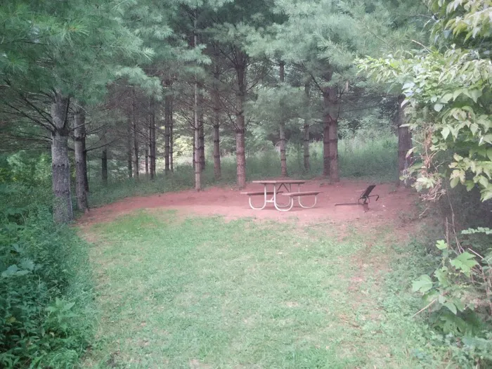 Prathers Creek Campground (Paddle In Only) Picture 4