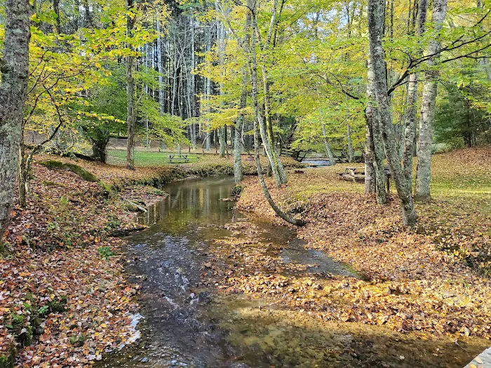 A & C Campground Picture 9