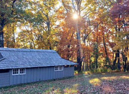 Doughton Park Campground