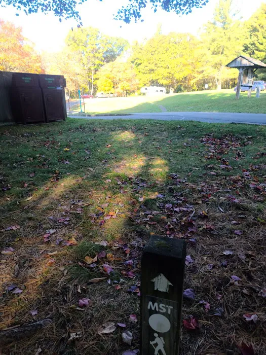 Doughton Park Campground Picture 5