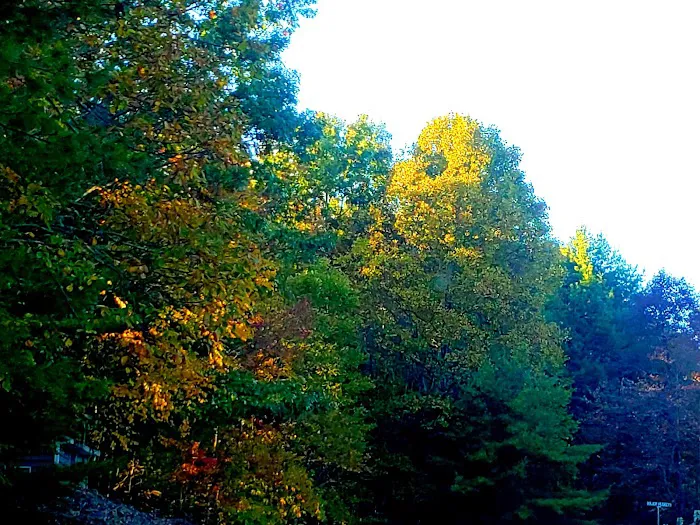 Mountain Side Campground & Cabins Picture 5