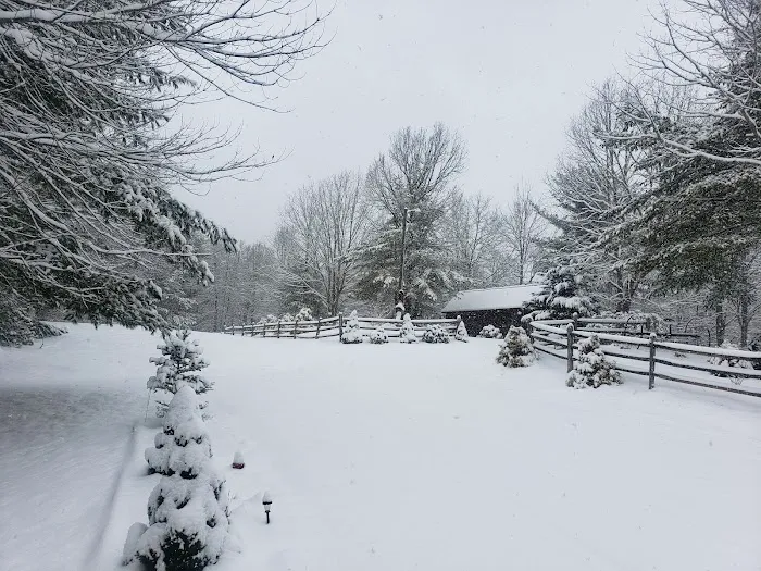 Mountain Side Campground & Cabins Picture 3