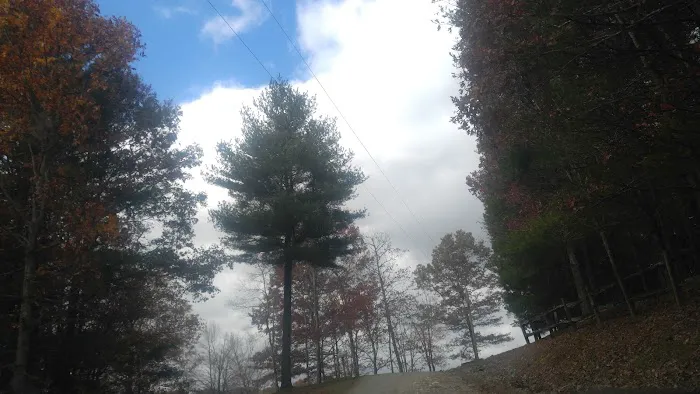 Mountain Side Campground & Cabins Picture 2