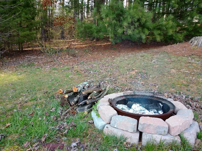 Miller's Campground Picture 6